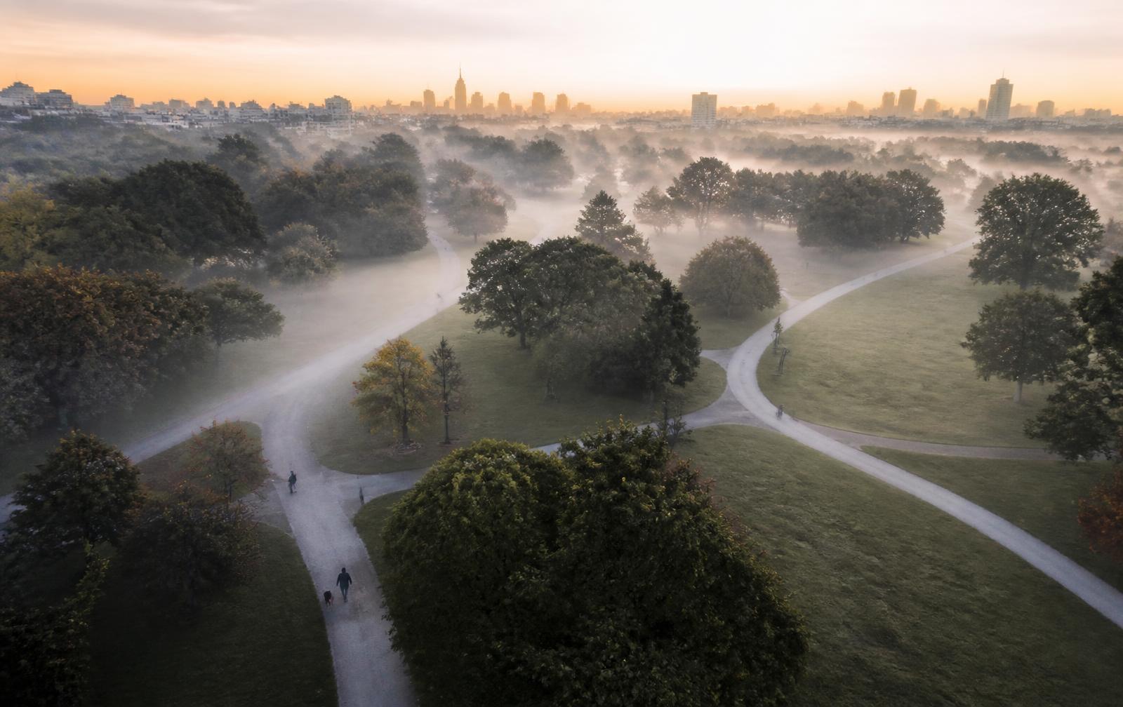 A city park at dawn with winding walking paths